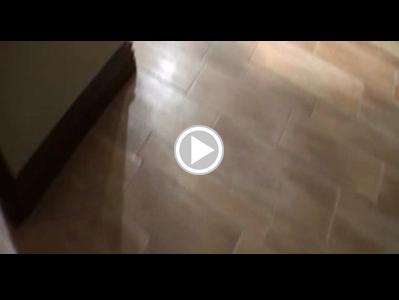 Hardcore black anal